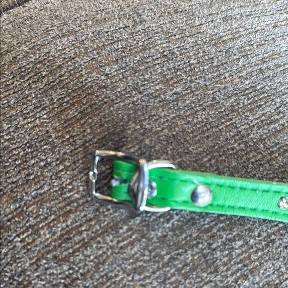 Green Studded Dog Collar, Size Small, rhinestones - Picture 4 of 6